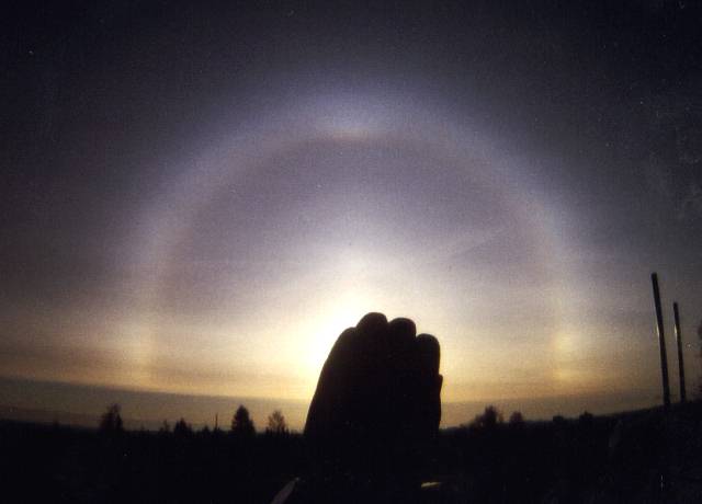 Picture 24� halo