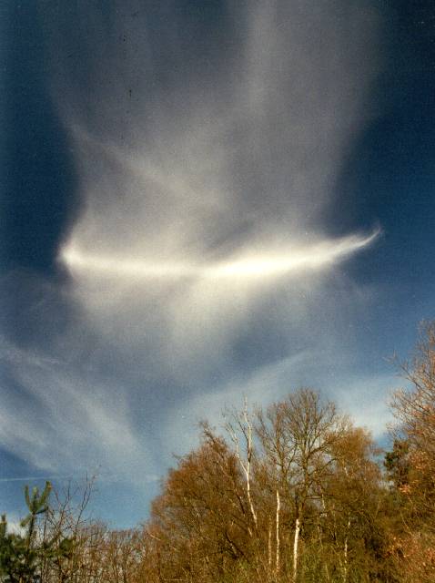 Bild Wegeners Gegensonnenbogen