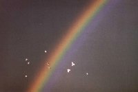 Regenbogen