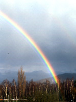 Regenbogen